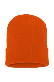 Cuffed Beanie (Color: FROST BLUE)